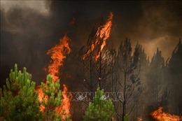 Điện thăm hỏi cháy rừng tại Pháp