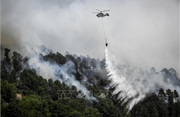 Nỗ lực khống chế cháy rừng tại Bồ Đào Nha và Pháp đạt kết quả tích cực