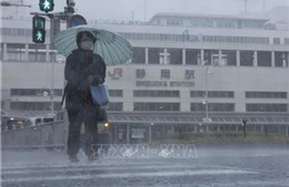 Nhật Bản: Bão Meari đổ bộ đảo chính Honshu gây mưa lớn