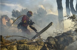  Tây Ban Nha: Cháy rừng dữ dội ở Aragon, hơn 1.500 người phải sơ tán