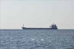 Ukraine: Thêm 5 tàu chở ngũ cốc xuất khẩu khởi hành từ cảng Chornomorsk
