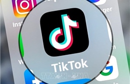 TikTok tăng cường giám sát thông tin có nội dung chính trị