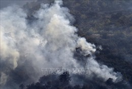 Algeria: Cháy rừng thiêu rụi 800 ha rừng, khiến ít nhất 10 trẻ em, 10 lính cứu hỏa thiệt mạng