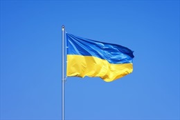 Điện mừng Ngày Độc lập của Ukraine