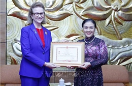 Trao tặng kỷ niệm chương cho Trưởng Đại diện thường trú UNDP tại Việt Nam