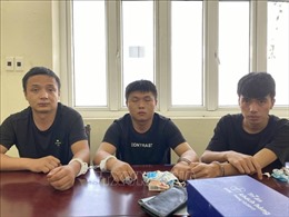 Lào Cai: Triệt phá đường dây đưa người nhập cảnh trái phép vào Việt Nam