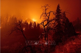 Cháy rừng tiếp tục lan rộng tại bang California của Mỹ