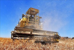 FAO đánh giá tác động với chuỗi cung ứng nông nghiệp và thực phẩm sau động đất
