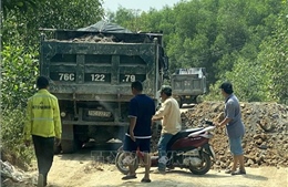 Quảng Ngãi: Xe tải chở đất lộng hành, cản trở phóng viên tác nghiệp