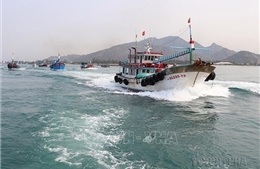 Bình Thuận không cho xuất bến tàu cá không đủ điều kiện hành nghề