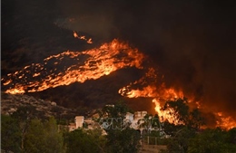 Mỹ: Cháy rừng lan nhanh tại bang California, 2.500 cơ sở hạ tầng bị đe doạ