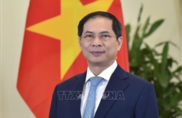 Bộ trưởng Ngoại giao Bùi Thanh Sơn sẽ tham dự Lễ tang của Nữ hoàng Anh