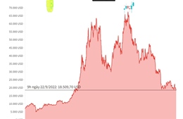 Thị trường tiền điện tử đỏ lửa, Bitcoin rớt xuống mốc 18.000 USD
