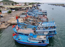 Ứng phó bão Noru: Ngư dân Ninh Thuận hối hả đưa thuyền vào bờ tránh trú