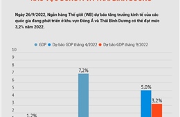 WB hạ dự báo tăng trưởng kinh tế khu vực Đông Á và Thái Bình Dương