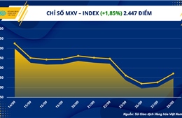 Nhóm năng lượng dẫn dắt đà tăng của thị trường hàng hóa