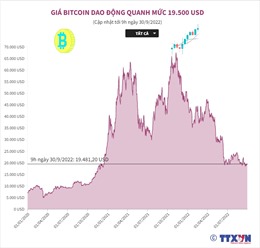 Giá Bitcoin dao động quanh mức 19.500 USD