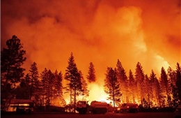 Cháy rừng là mối đe dọa mới đối với Bờ Đông nước Mỹ 
