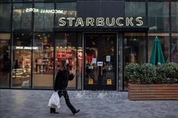 Nghị sĩ Hàn Quốc: Công ty Starbucks đã biết trước về độc tố trong túi gói đồ mang đi
