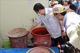 TP Hồ Chí Minh: 25 ca tử vong do sốt xuất huyết, 75% là người lớn
