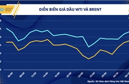 Liệu quyết định cắt giảm sản lượng có thực sự giúp cho OPEC+ cứu vớt giá dầu?