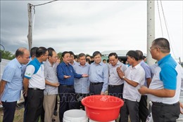 Bộ trưởng Lê Minh Hoan: Tổ chức lại sản xuất để khắc phục tình trạng sản xuất manh mún