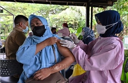 Indonesia tăng cường ứng phó sau khi có ca nhiễm biến thể phụ XBB của Omicron