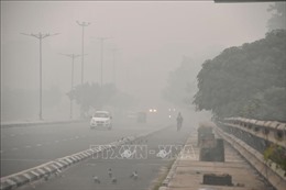 Ấn Độ: Người dân đốt pháo mừng lễ hội ánh sáng, thủ đô New Delhi ô nhiễm nghiêm trọng 