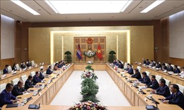 Thủ tướng Phạm Minh Chính hội kiến Chủ tịch Thượng viện Campuchia
