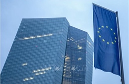 ECB sẽ tiếp tục tăng lãi suất bất chấp rủi ro suy thoái