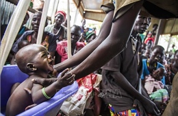 LHQ: Khoảng 8 triệu người có nguy cơ chết đói ở Nam Sudan