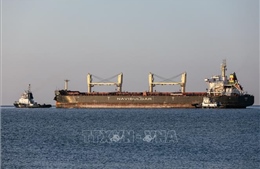 LHQ hối thúc gia hạn thỏa thuận xuất khẩu ngũ cốc qua Biển Đen