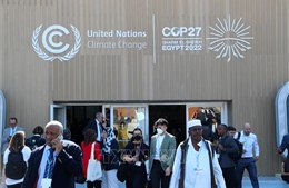 COP27: Đàm phán về khí hậu vẫn chia rẽ và bế tắc trong tuần làm việc cuối 