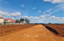 Đắk Nông: Bố trí chỗ ở, đất sản xuất cho gần 5.500 hộ dân di cư tự do