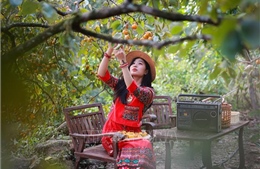 Lời giải cho du lịch mùa thấp điểm ở Nghệ An