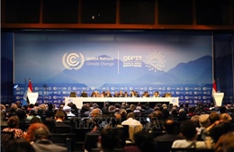 Hội nghị COP27: Thành quả của quyết tâm