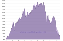 VN-Index phục hồi mạnh về trên mốc 1.000 điểm