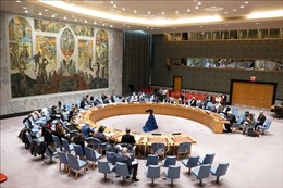 OIC hoan nghênh các nghị quyết của Liên hợp quốc về Palestine