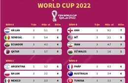 Bảng xếp hạng vòng đấu bảng World Cup 2022