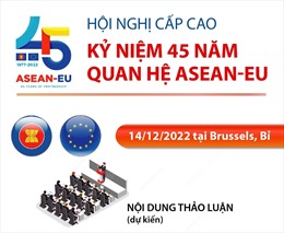 Hội nghị Cấp cao kỷ niệm 45 năm quan hệ ASEAN-EU