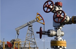 UAE: Quyết định cắt giảm sản lượng của OPEC+ giúp cân bằng thị trường dầu mỏ