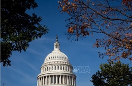 Những ưu tiên của Hạ viện Mỹ sau khi đảng Cộng hòa trở thành phe đa số