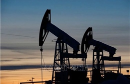 Giá dầu Urals của trong tháng 11/2022 thấp hơn ngưỡng trần do phương Tây áp đặt