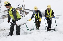Tuyết rơi dày đặc tại Nhật Bản khiến 13 người thiệt mạng 