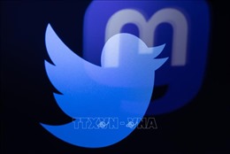 Twitter tiếp tục cắt giảm nhân viên