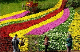 Festival Hoa Đà Lạt góp phần tăng sản lượng hoa gấp 3 lần