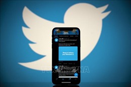Twitter hoạt động trở lại sau sự cố sập mạng