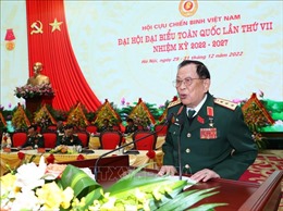 Xây dựng Hội Cựu chiến binh Việt Nam vững mạnh về chính trị, tư tưởng