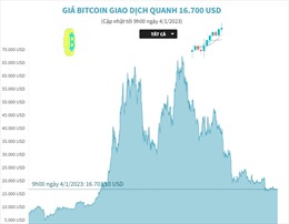 Giá Bitcoin giao dịch quanh 16.700 USD