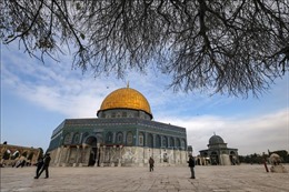 OIC họp bất thường để thảo luận về động thái của Israel tại đền thờ Al-Aqsa
